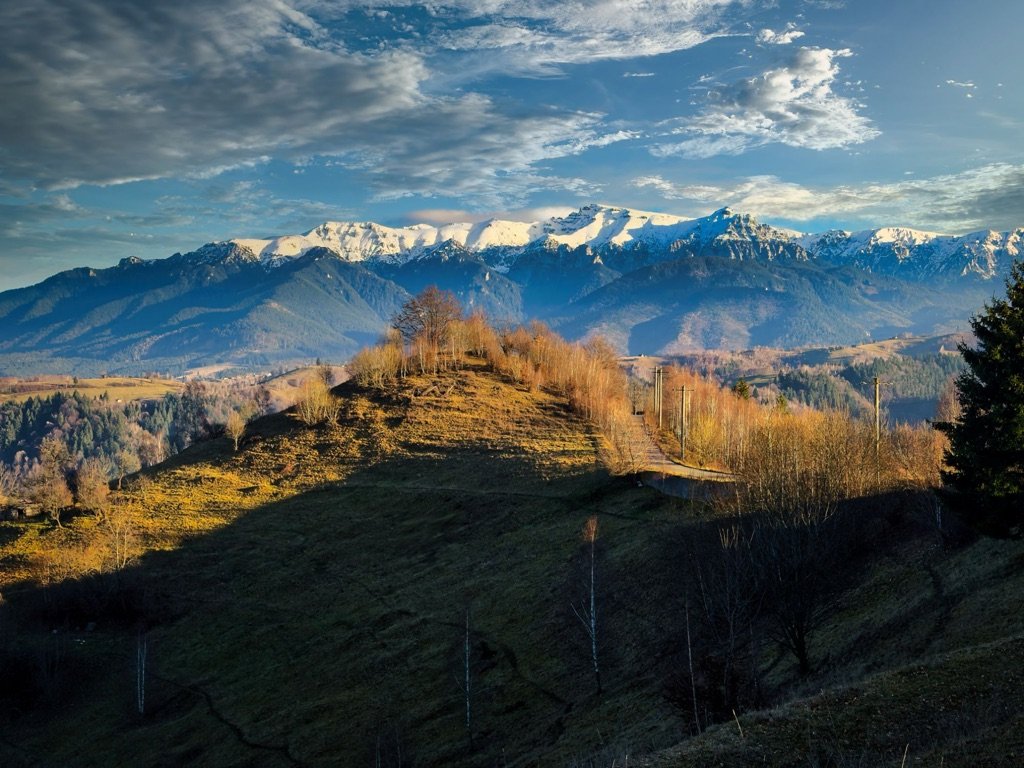 Creste montane acoperite de zăpadă, deasupra unui deal cu mesteceni în lumina apusului